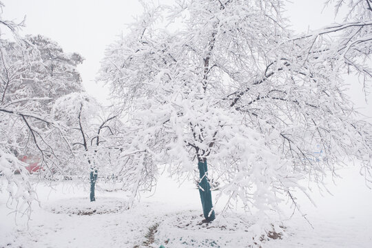 武汉东湖磨山风景区冬季雪景