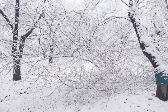 武汉东湖磨山风景区冬季雪景