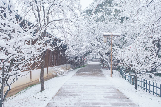 武汉东湖磨山风景区冬季雪景