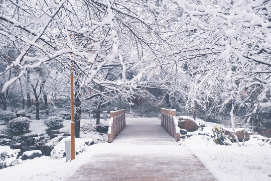 武汉东湖磨山风景区冬季雪景