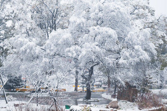 武汉东湖磨山风景区冬季雪景