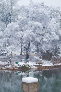 武汉东湖磨山风景区冬季雪景