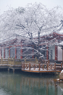 武汉东湖磨山风景区冬季雪景