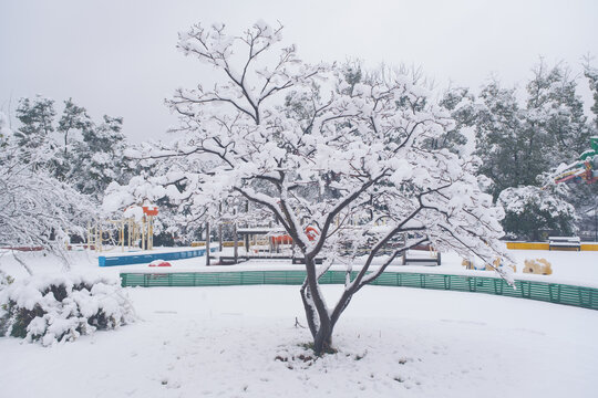 武汉东湖磨山风景区冬季雪景