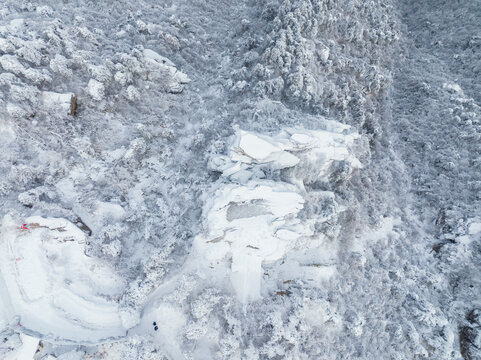 江西庐山风景区雪景风光