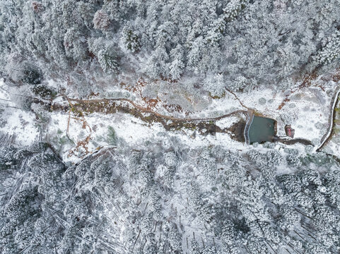 江西庐山风景区雪景风光