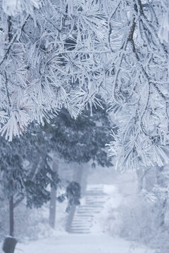 江西庐山风景区雪景风光