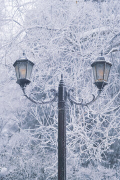 江西庐山风景区雪景风光