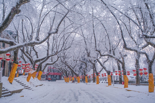 江西庐山风景区雪景风光