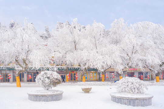 江西庐山风景区雪景风光