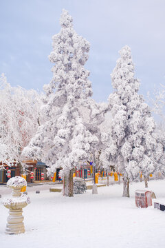 江西庐山风景区雪景风光