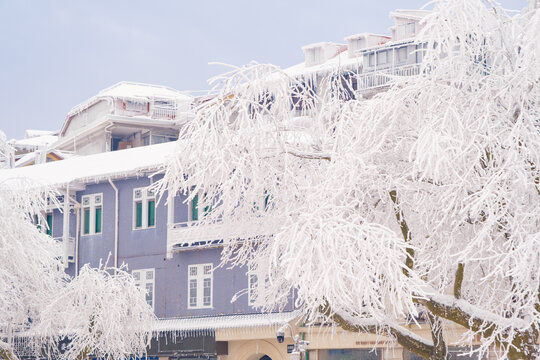 江西庐山风景区雪景风光