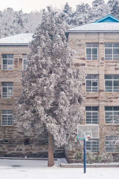 江西庐山风景区雪景风光