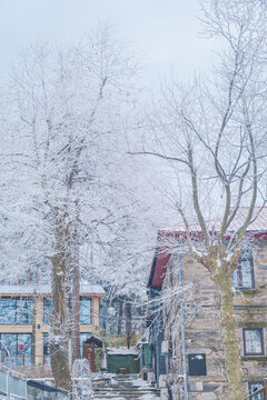 江西庐山风景区雪景风光