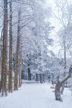 江西庐山风景区雪景风光