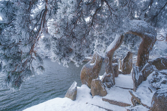 江西庐山风景区雪景风光