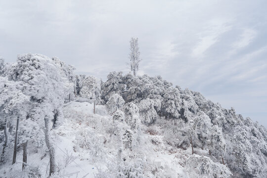 江西庐山风景区雪景风光