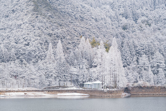 江西庐山风景区雪景风光