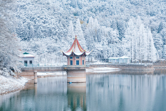 江西庐山风景区雪景风光