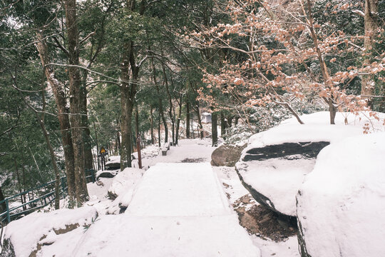 江西庐山风景区雪景风光