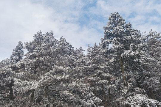 江西庐山风景区雪景风光