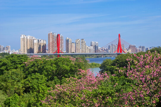 漳州市城市景观