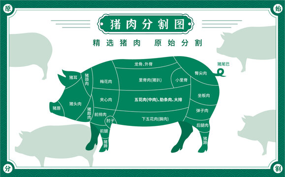 豬肉分割