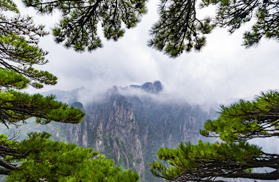 安徽黄山风景区自然风光