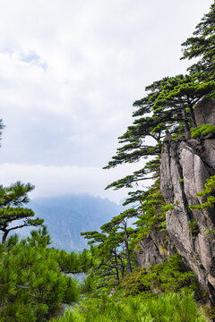 安徽黃山風(fēng)景區(qū)自然風(fēng)光