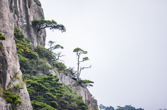 安徽黄山风景区自然风光