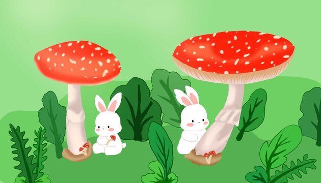 蘑菇与兔子