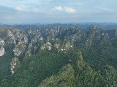 陇瑞自然保护区