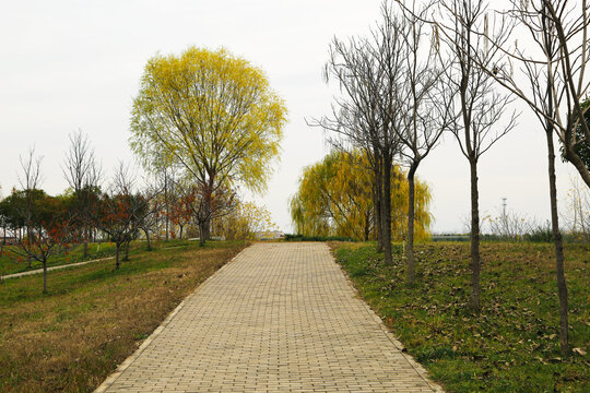 铺砖景观步道