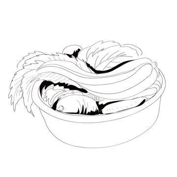腌菜酸菜辣白菜
