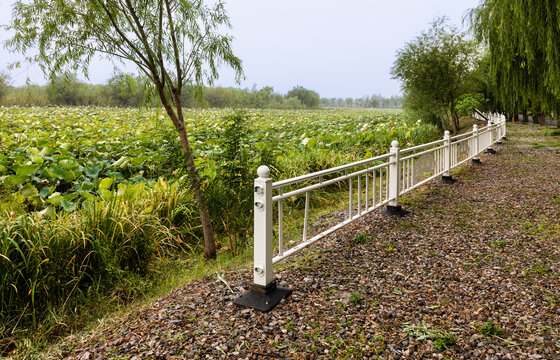 三山岛风光