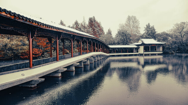 浴鹄湾初雪