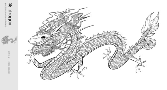 手繪龍插畫(huà)黑白線(xiàn)稿