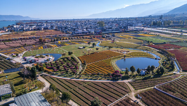 航拍大理田园风光花木农场全景