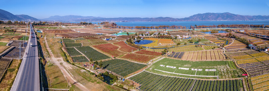 航拍大理田园风光花木农场全景