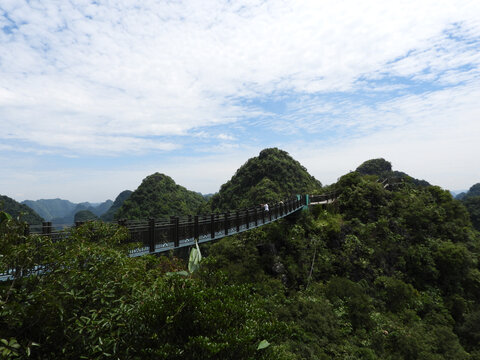 绿水青山就是金山银山