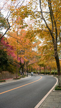杭州西湖风景秋天