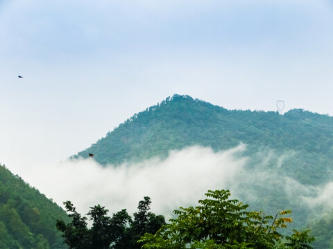 哀牢山