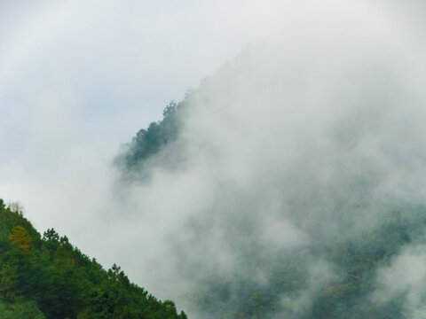 哀牢山云雾