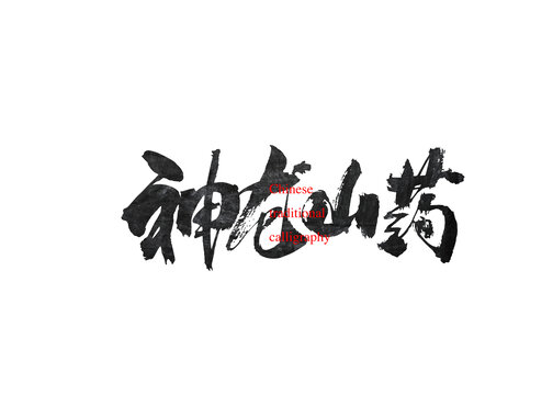神龍山藥