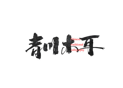 青川木耳