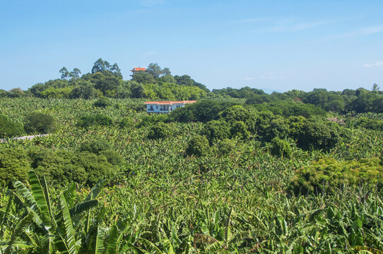 香蕉海生态公园旅游风光