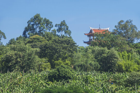 漳州绿林天宝阁掠影