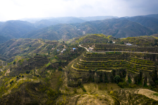 陕北小山村