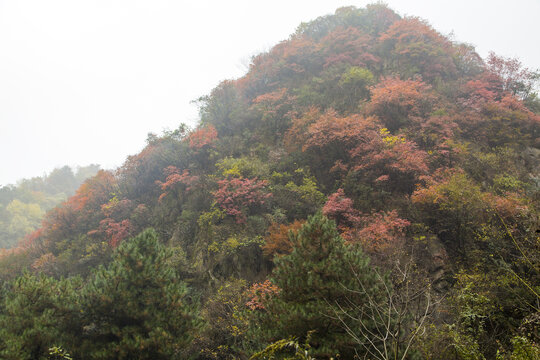 秦岭山色