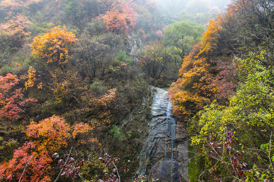 秦岭山